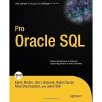 Pro Oracle SQL Expert's Voice in Oracle